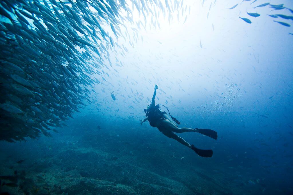 Buceo en Los Cabos