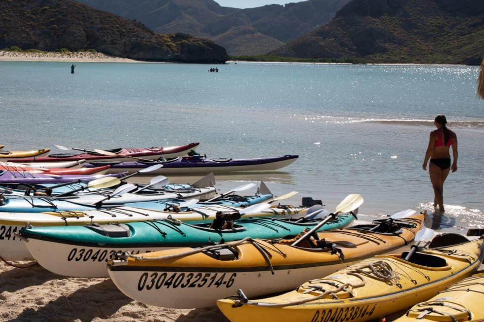 Playas de ensueño y aventuras inolvidables: Playa Balandra e Isla Espíritu Santo