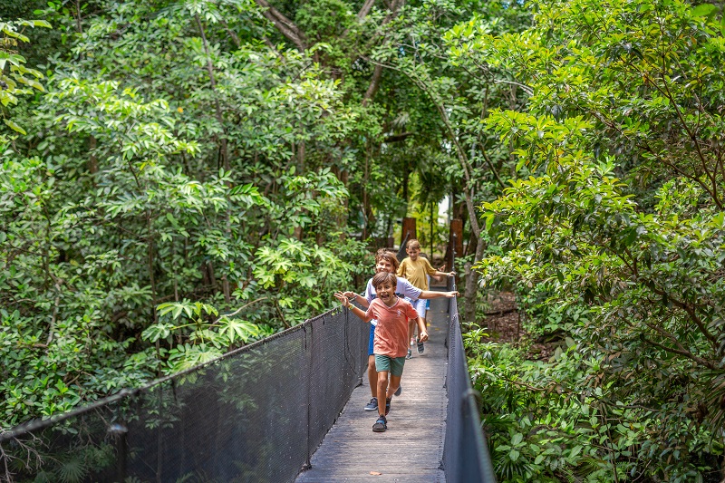 Descubre los secretos de la selva en Sandos Caracol Eco Resort, Playa del Carmen