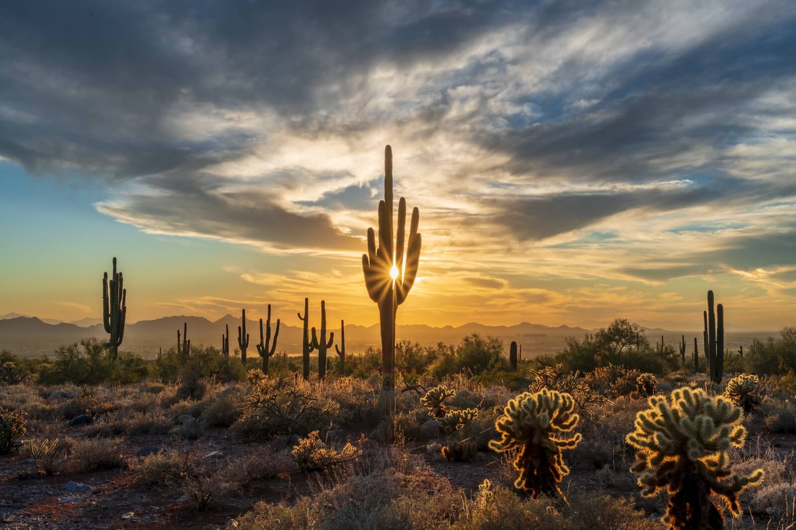 Razones para viajar a Scottsdale en su mejor temporada